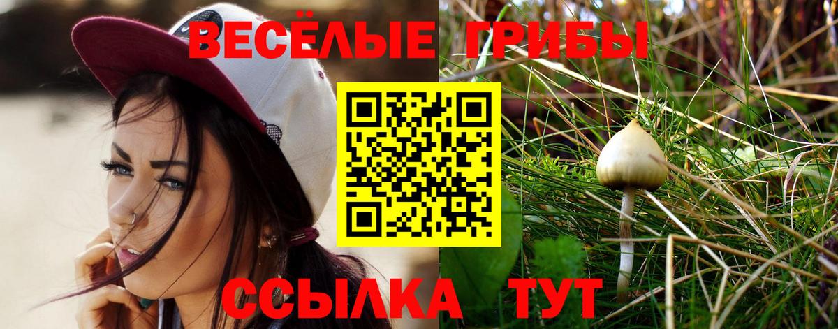 Галлюциногенные грибы Magic Shrooms Канаш
