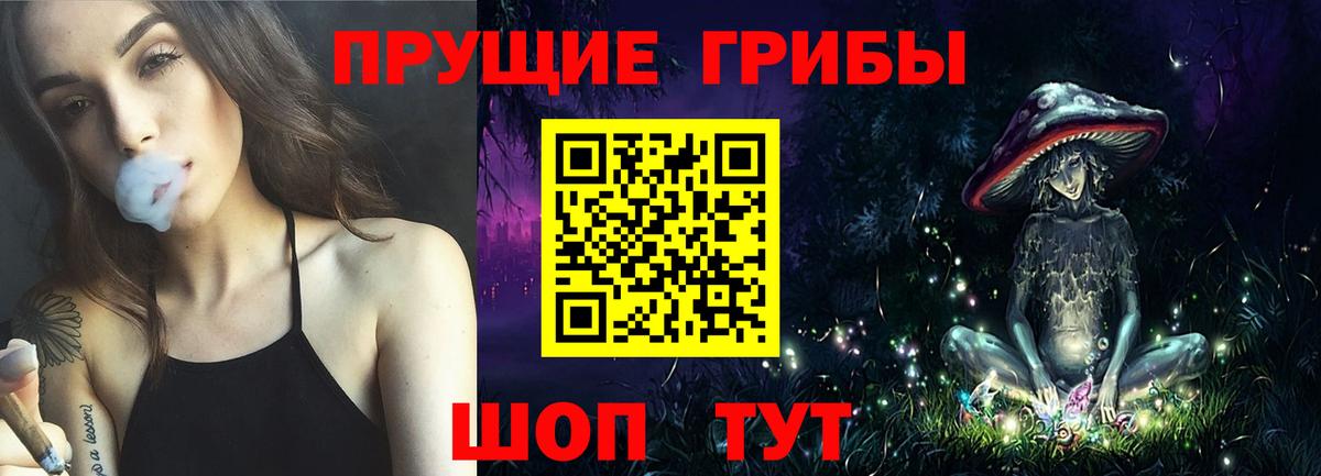 Канаш  Псилоцибиновые грибы Magic Shrooms  Вход с VPN  Псилоцибиновые грибы Psilocybe 